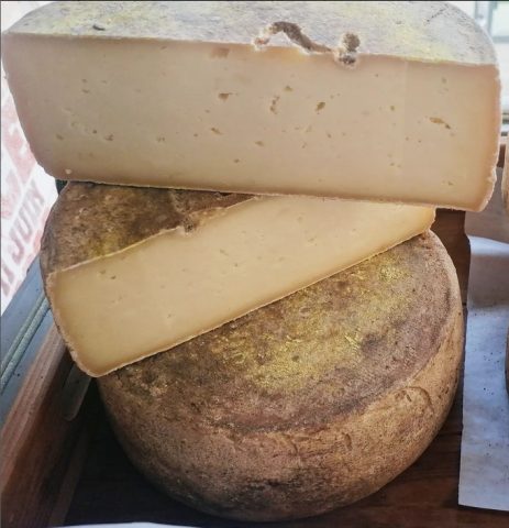 Tomme de brebis